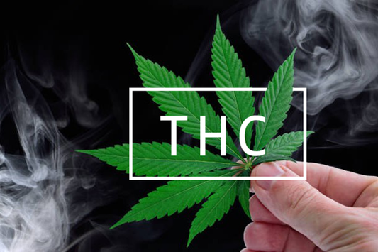 What is "Greening Out"? How to avoid THC overdose?