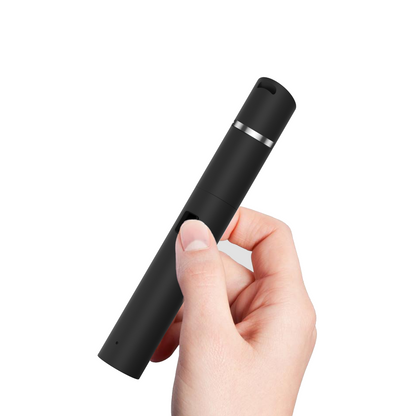 VOOZR P2 Pen